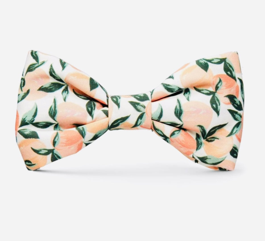 Bow Tie - Peaches and Cream