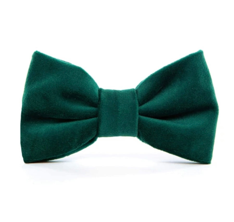 Bow Tie - Christmas Green