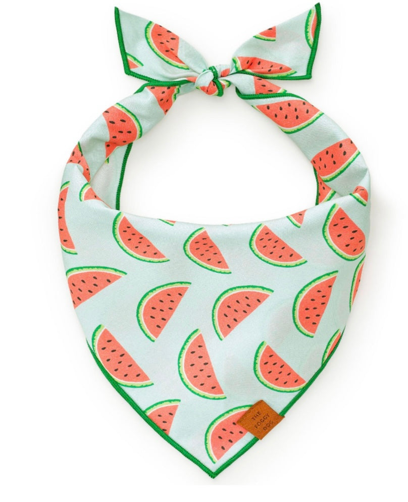 Bandana - Watermelon