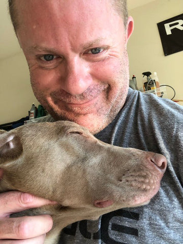 Rescue dog on a leash sitting calmly on a front porch with new owner