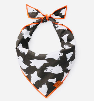 Halloween dog collars, bandanas and t-shirts – Gussied Up Pet Boutique