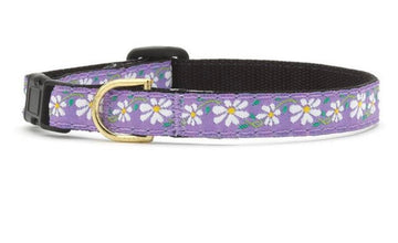 Cat Collars – Gussied Up Pet Boutique