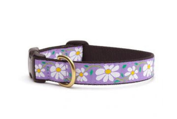 Flower & Heart Dog Collars – Gussied Up Pet Boutique