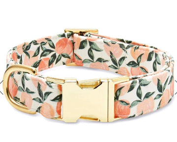 Plaid & Print Dog Collars – Gussied Up Pet Boutique