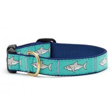 Spring & Summer Dog Collars – Gussied Up Pet Boutique