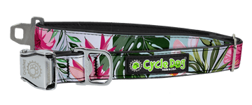 Water-Resistant No-Stink Dog Collars – Gussied Up Pet Boutique