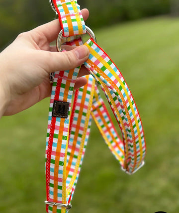 Dog harnesses at Gussied Up Pet Boutique, Alpharetta GA