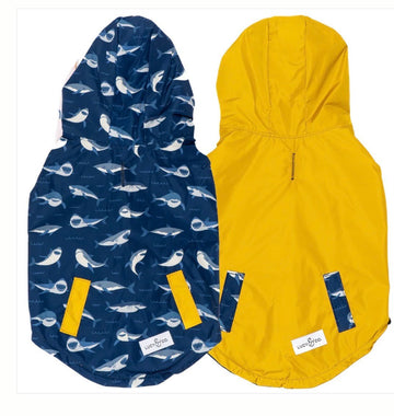 Lucy & Co raincoats and harnesses – Gussied Up Pet Boutique