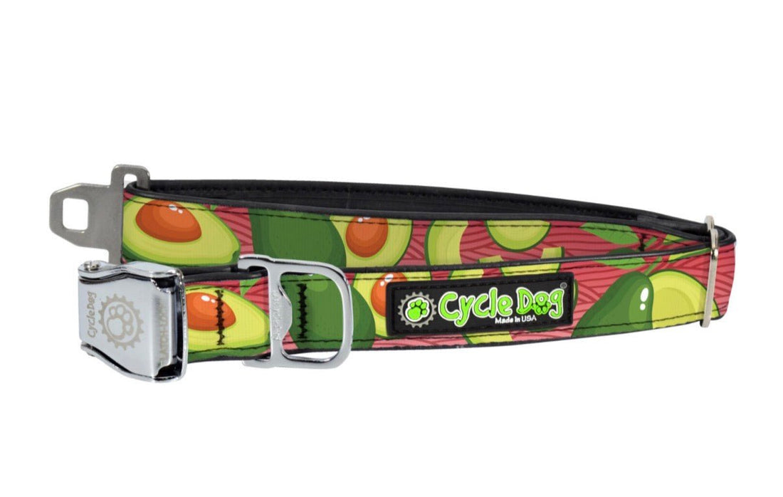 Avocado Cycle Dog Collar Water Resistant - Gussied Up Pet Boutique