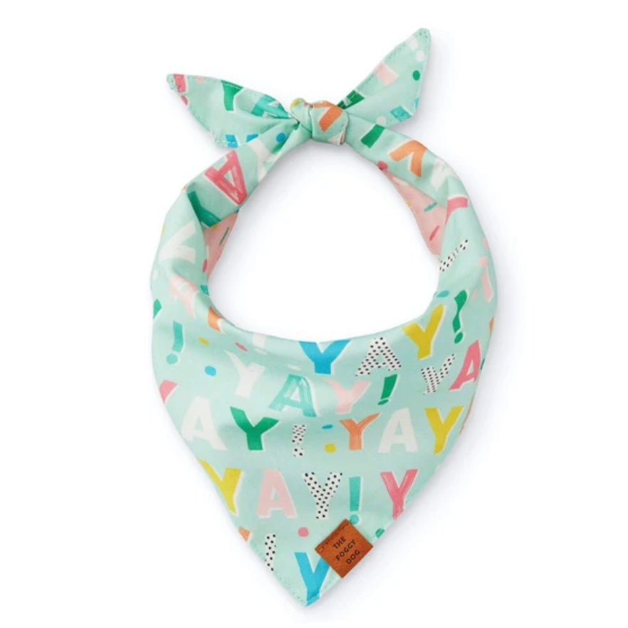 Bandana - Aqua Birthday YAY - Gussied Up Pet Boutique