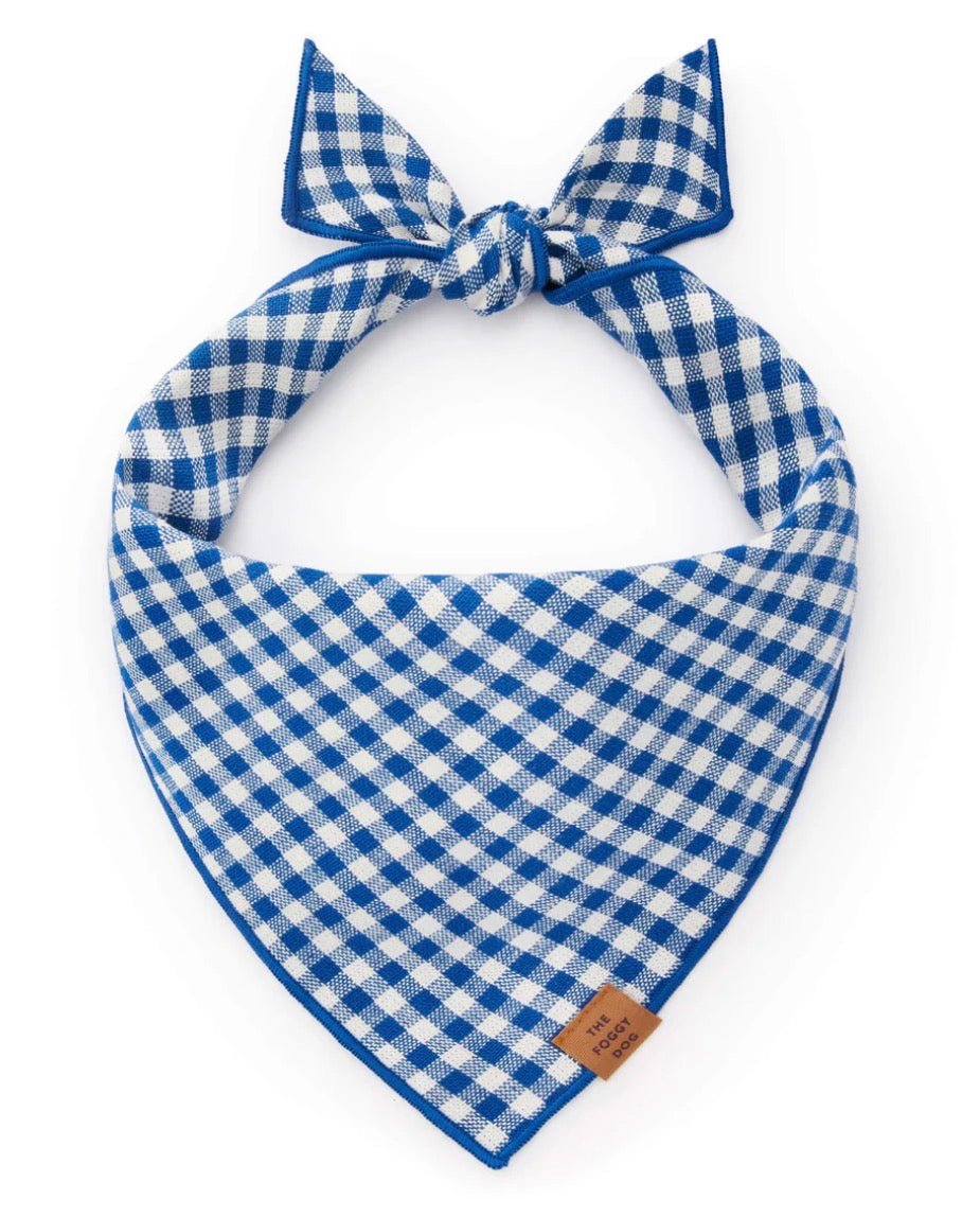 Bandana - Blue Gingham - Gussied Up Pet Boutique