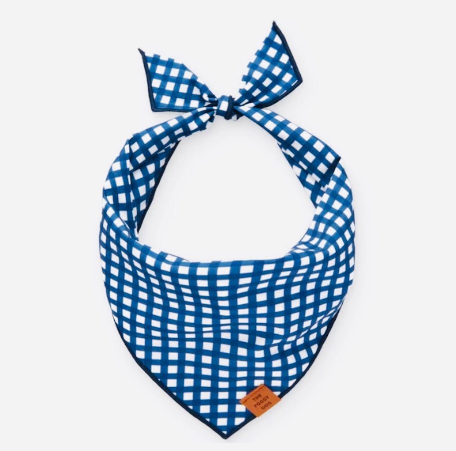 Bandana - Blue Gingham - Gussied Up Pet Boutique