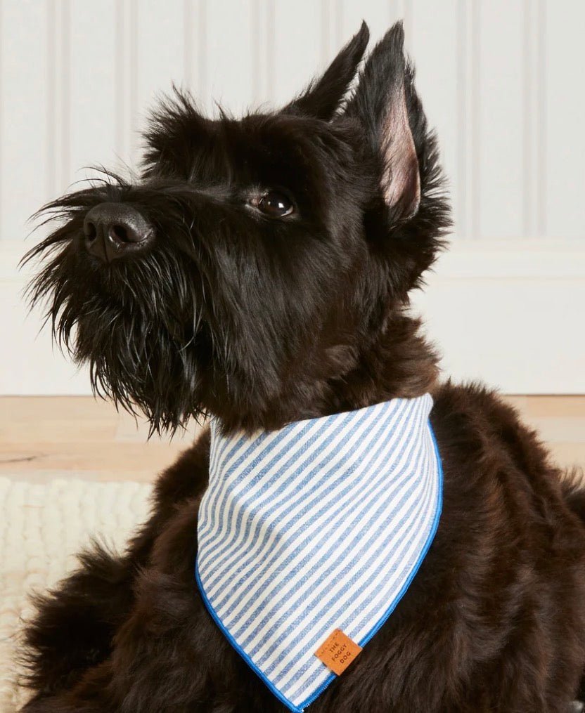 Bandana - Blue Stripe - Gussied Up Pet Boutique