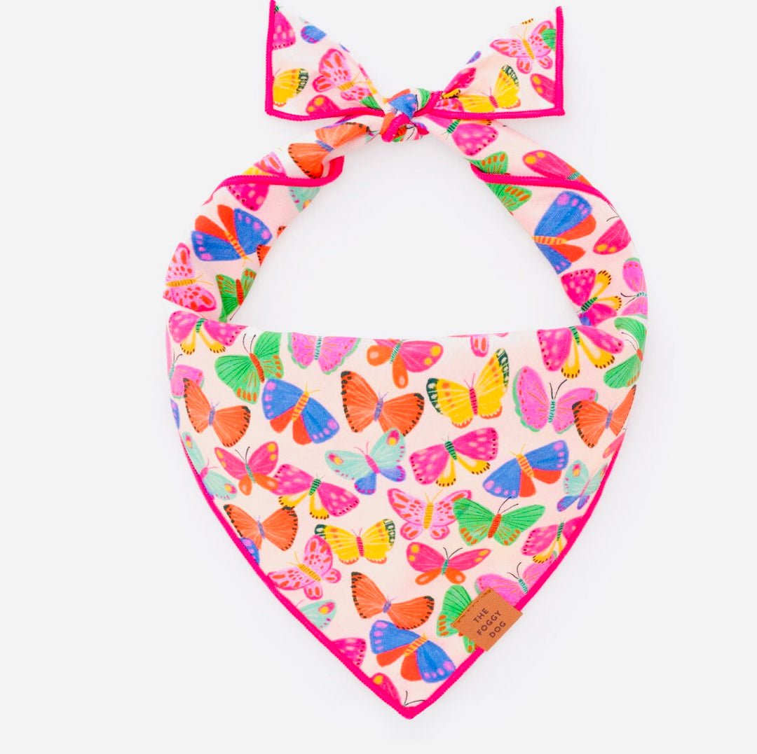 Bandana - Butterfly - Gussied Up Pet Boutique