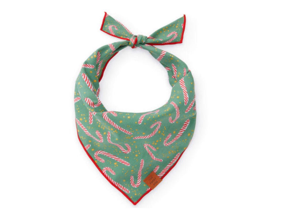 Bandana - Candy Cane - Gussied Up Pet Boutique