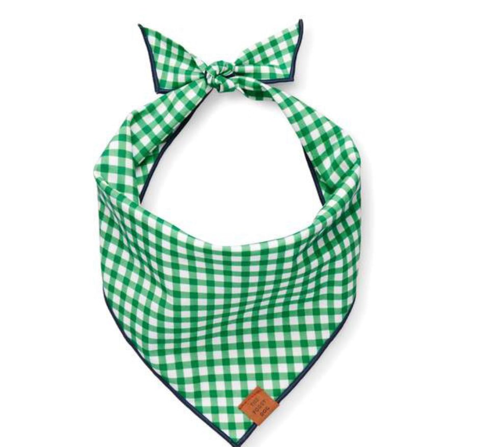 Bandana - Green Gingham - Gussied Up Pet Boutique