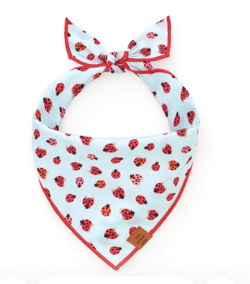 Bandana - Lady Bugs - Gussied Up Pet Boutique