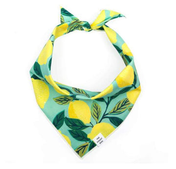 Bandana - Lemon Zest - Gussied Up Pet Boutique