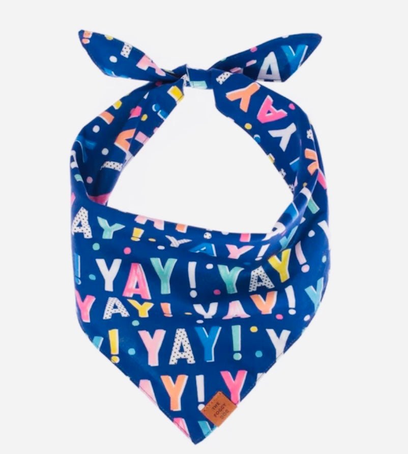 Bandana - Navy Birthday YAY - Gussied Up Pet Boutique