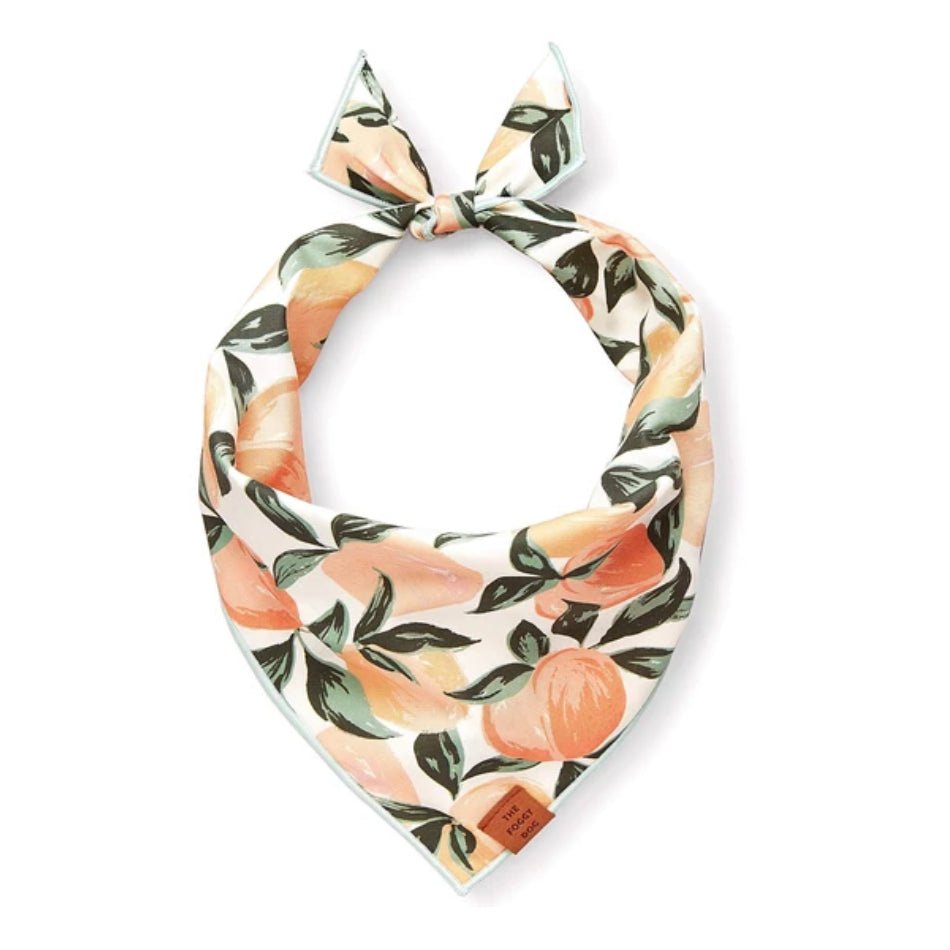 Bandana - Peaches and Cream - Gussied Up Pet Boutique