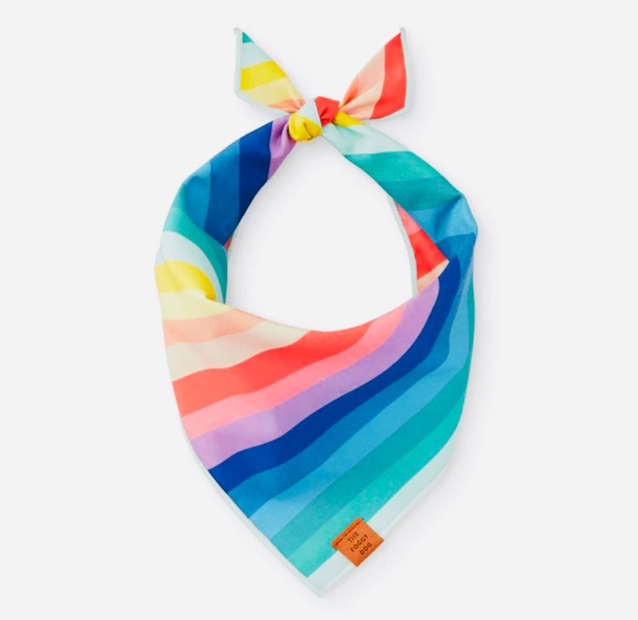 Bandana - Rainbow - Gussied Up Pet Boutique