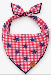 Bandana - Red Check Blue Stars - Gussied Up Pet Boutique