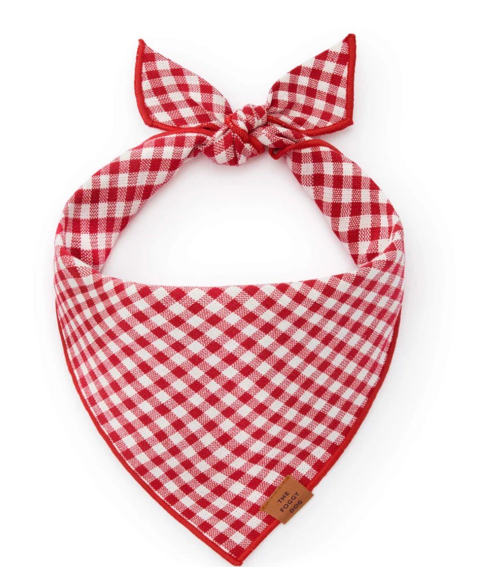 Bandana - Red Gingham - Gussied Up Pet Boutique