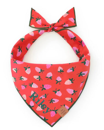 Bandana - Strawberries - Gussied Up Pet Boutique