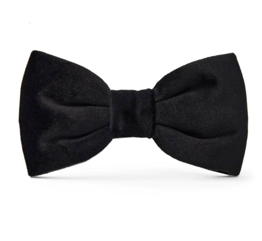 Bow Tie - Black - Gussied Up Pet Boutique