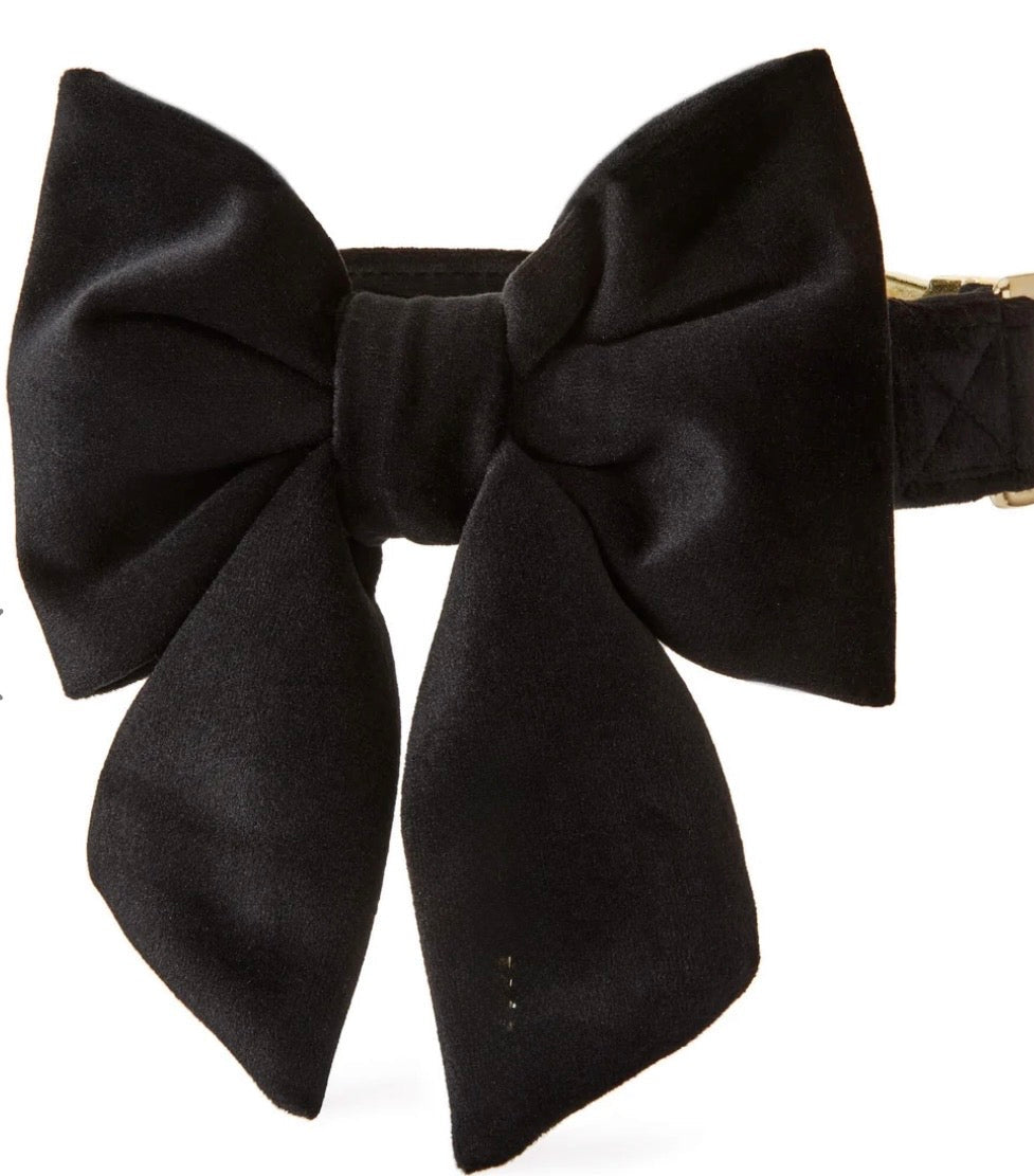 Bow Tie - Black Velvet - Gussied Up Pet Boutique