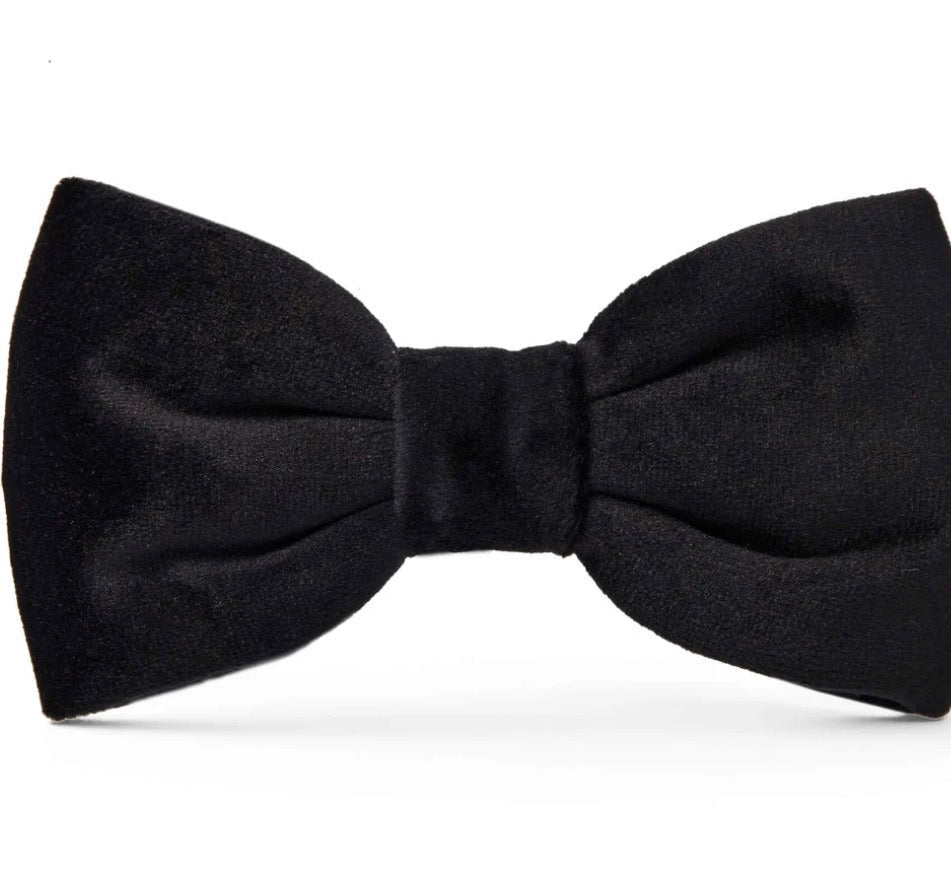Bow Tie - Black Velvet - Gussied Up Pet Boutique