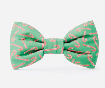 Bow Tie - Candy Cane - Gussied Up Pet Boutique