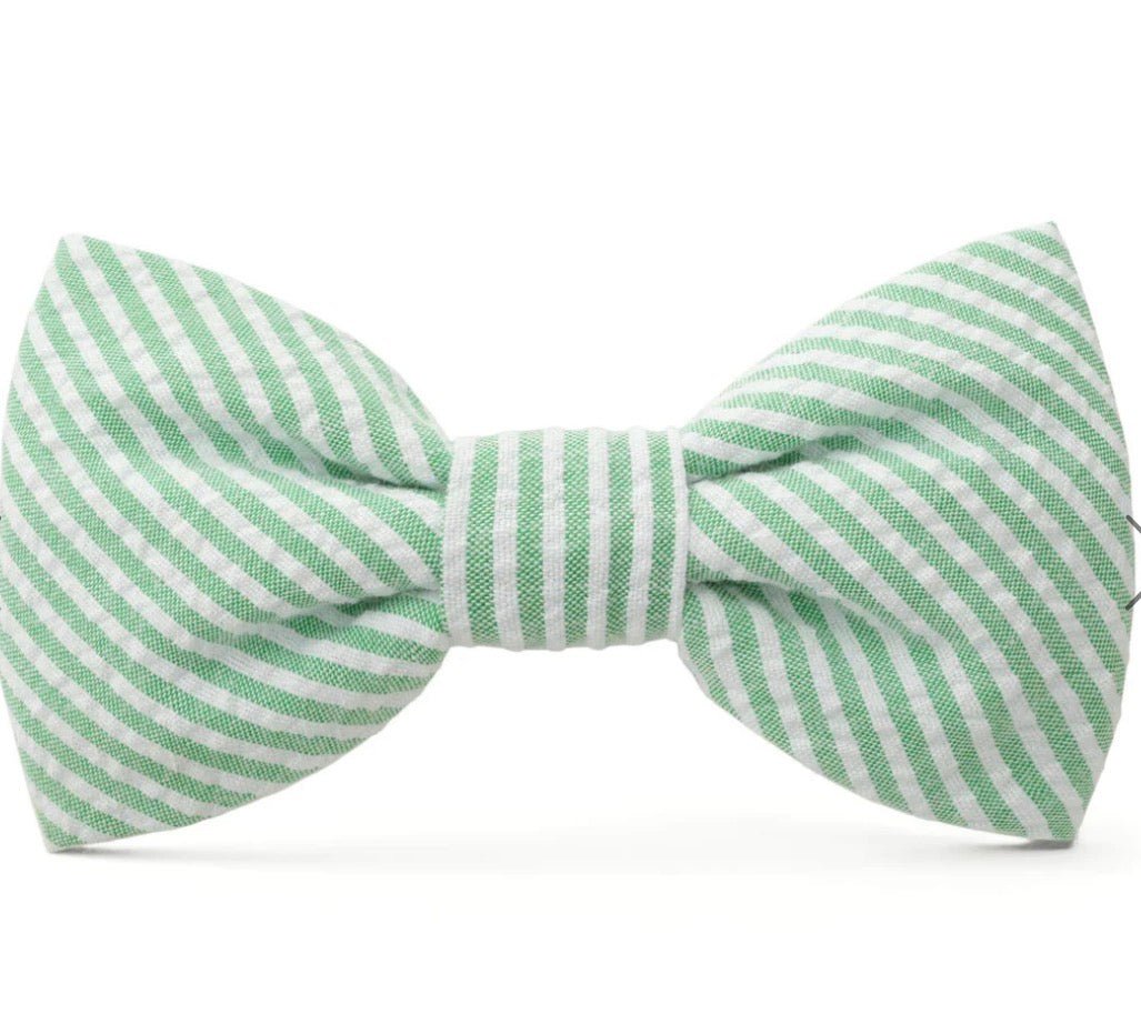 Bow Tie - Green Searsucker - Gussied Up Pet Boutique