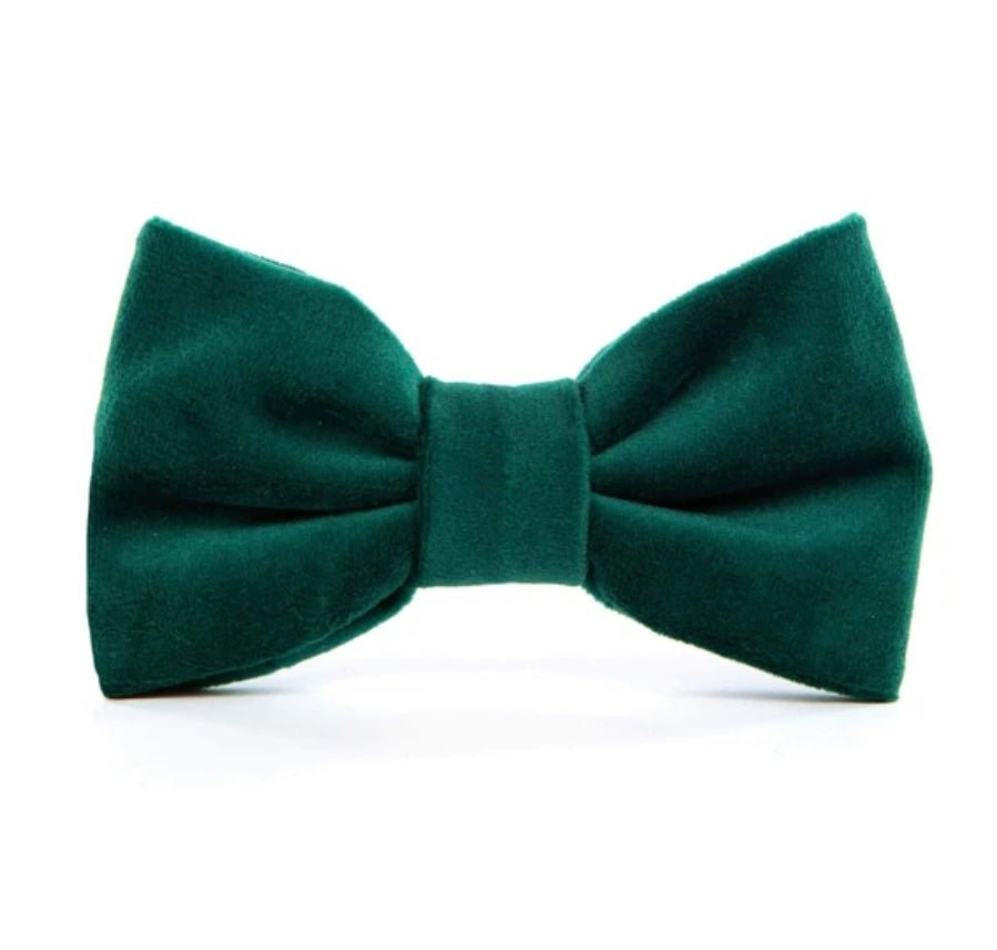 Bow Tie - Green Velvet - Gussied Up Pet Boutique