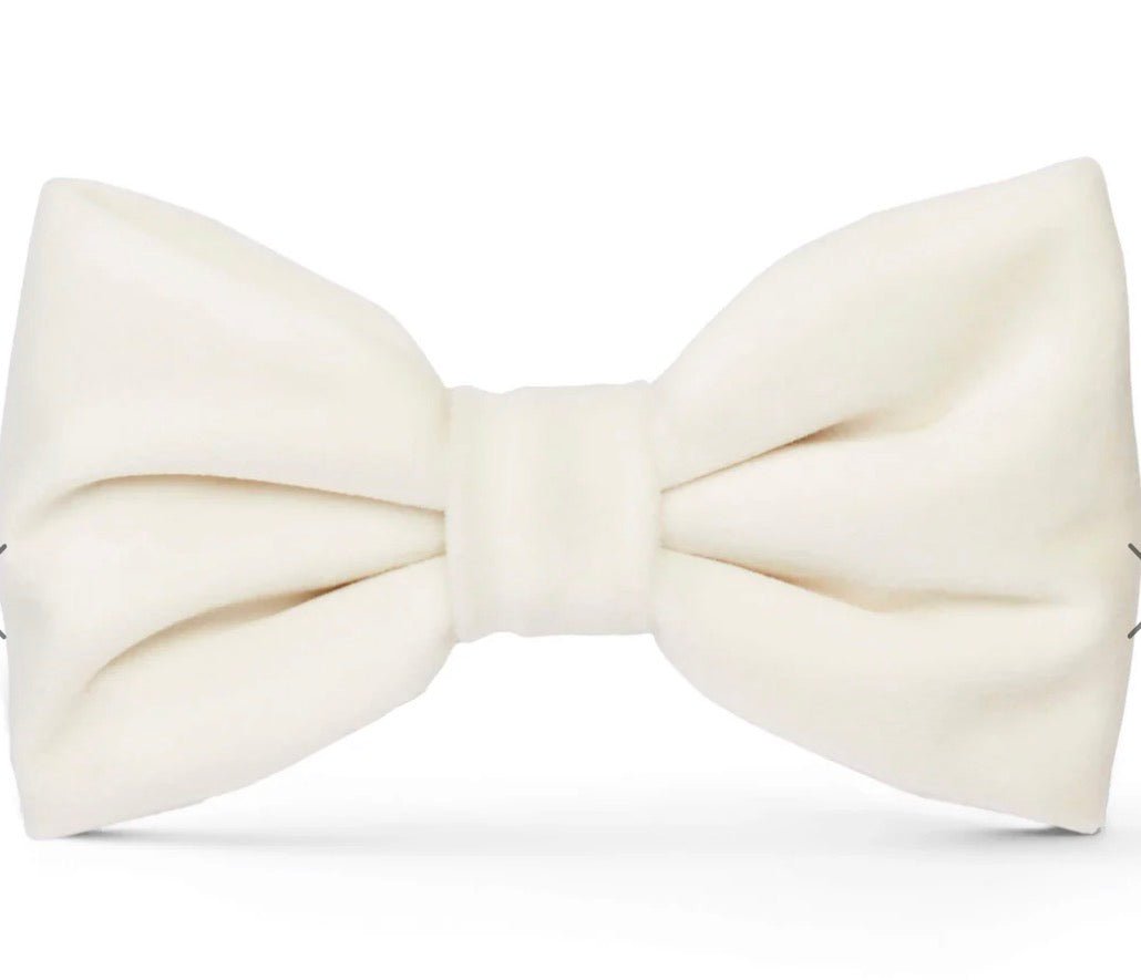 Bow Tie - Ivory Velvet - Gussied Up Pet Boutique