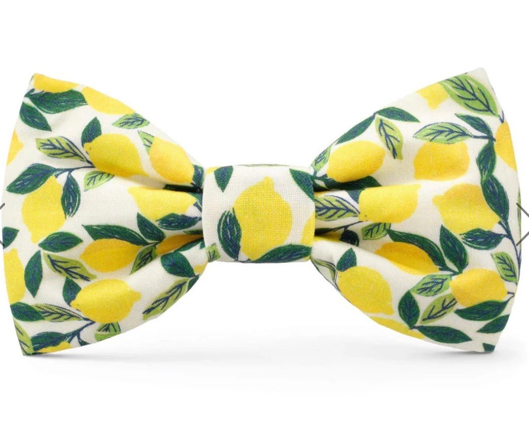Bow Tie - Lemon Zest - Gussied Up Pet Boutique