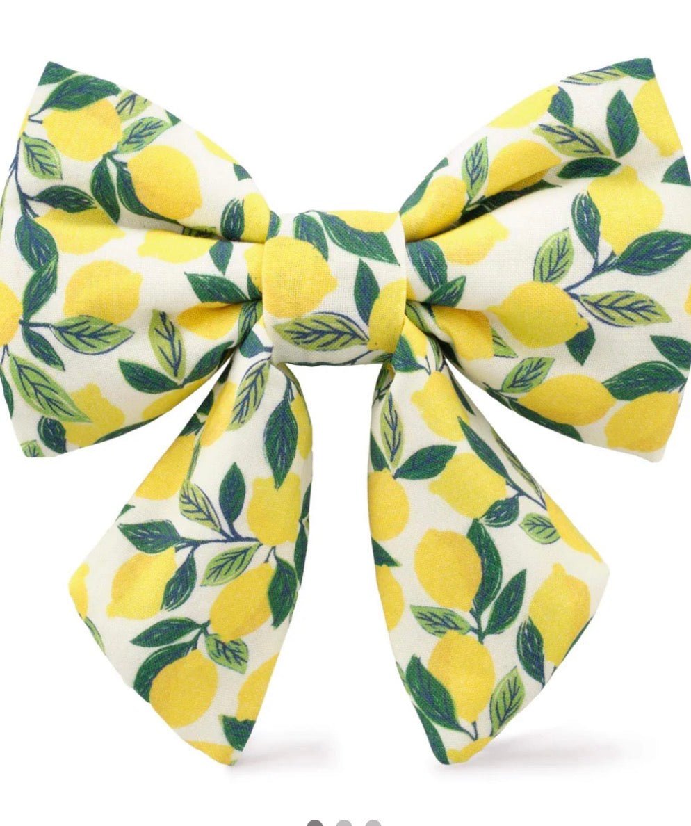 Bow Tie - Lemons Lady Bow - Gussied Up Pet Boutique