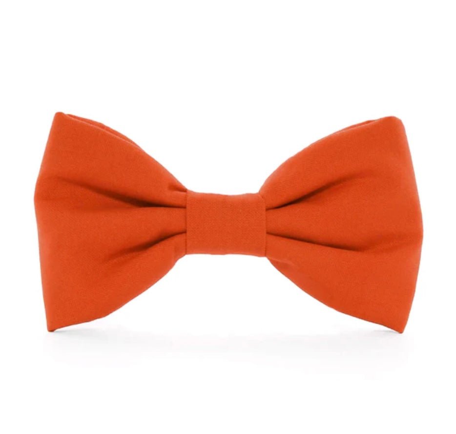 Bow Tie - Orange - Gussied Up Pet Boutique