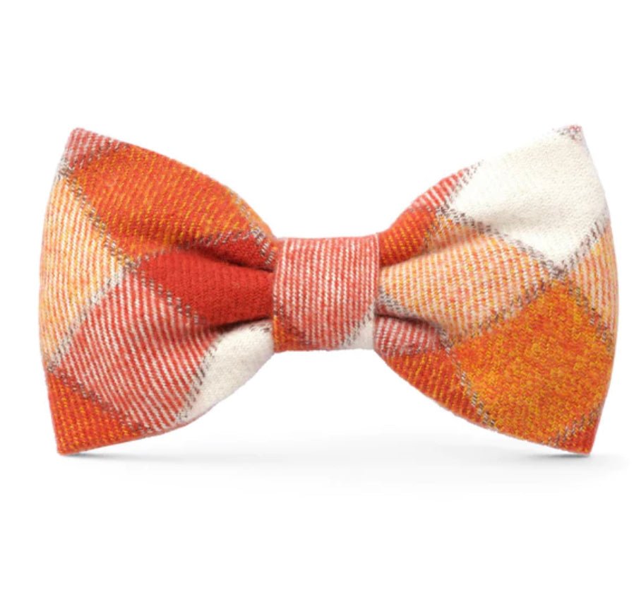 Bow Tie - Orange Pumpkin Spice - Gussied Up Pet Boutique
