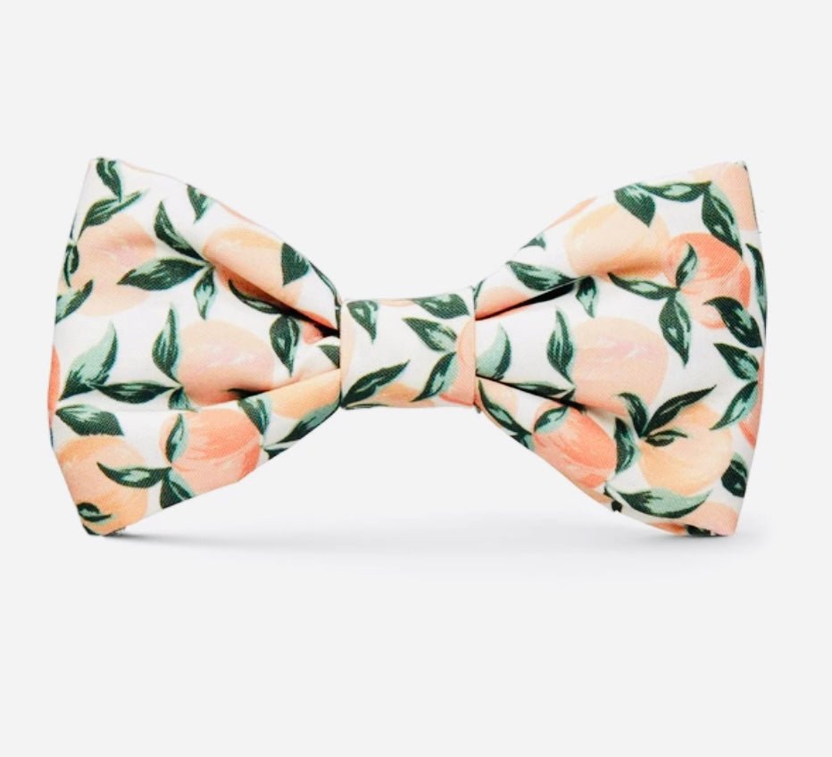 Bow Tie - Peaches and Cream - Gussied Up Pet Boutique