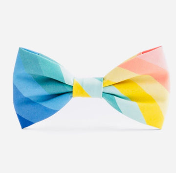 Bow Tie - Rainbow - Gussied Up Pet Boutique