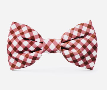 Bow Tie - Red Gingham - Gussied Up Pet Boutique