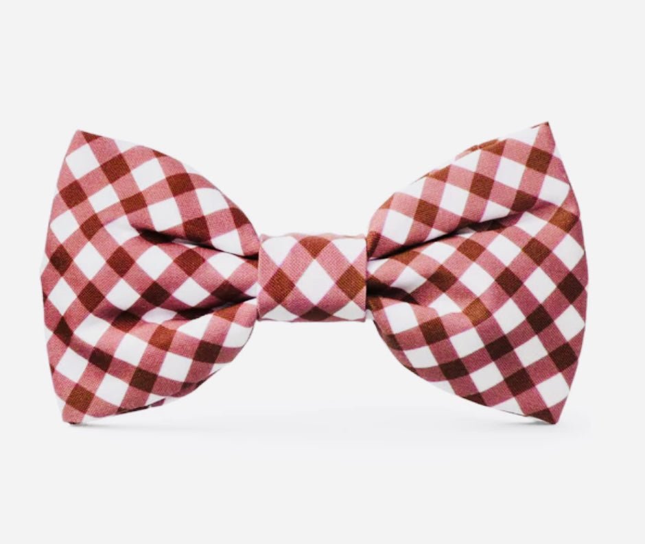 Bow Tie - Red Gingham - Gussied Up Pet Boutique