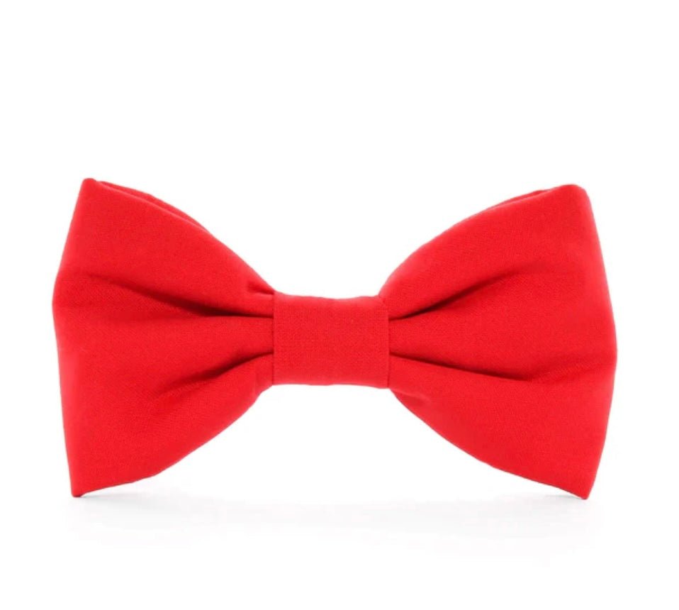 Bow Tie - Ruby Red - Gussied Up Pet Boutique