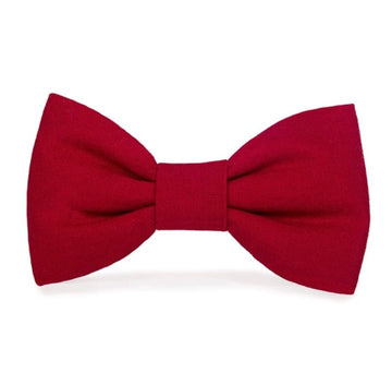 Bow Tie - Velvet Red - Gussied Up Pet Boutique