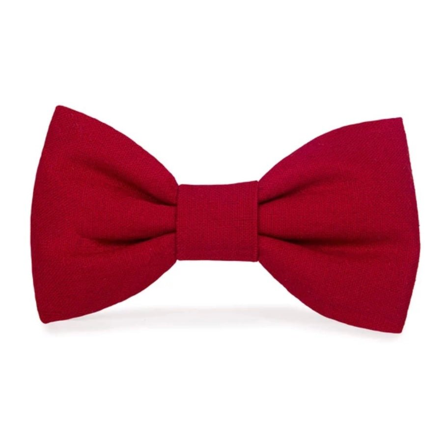 Bow Tie - Velvet Red - Gussied Up Pet Boutique