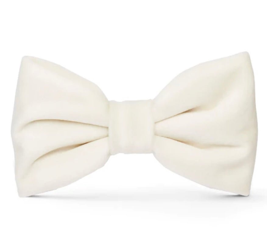 Bow Tie - White - Gussied Up Pet Boutique
