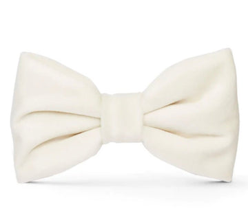 Bow Tie - White - Gussied Up Pet Boutique