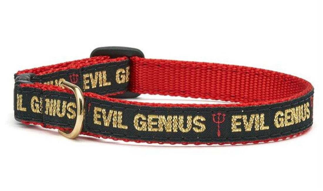 Evil Genius Cat Collar by Up Country
