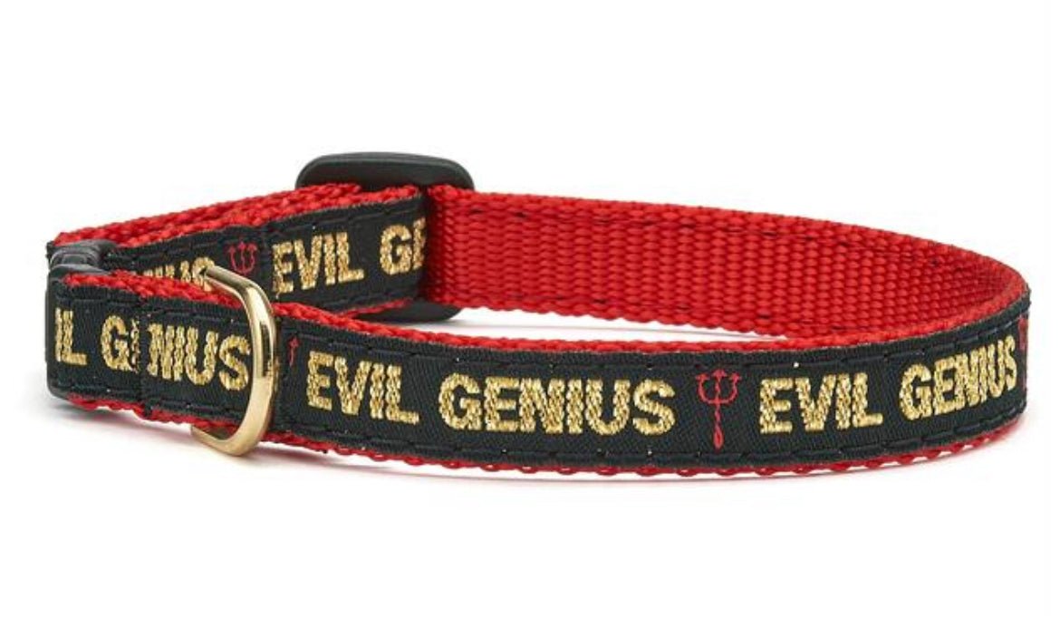 Evil Genius Cat Collar by Up Country